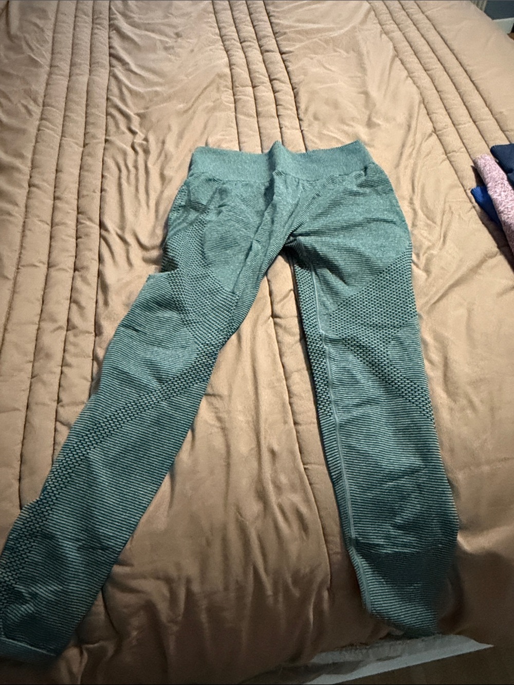 Gymshark Teal Seamless Leggings - Textured High-Waist Active Tights
